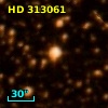 HD 313061