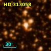 HD 313058