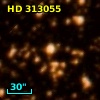 HD 313055