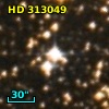 HD 313049