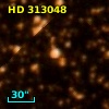HD 313048