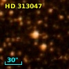 HD 313047