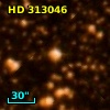 HD 313046