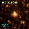 HD 313045