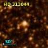 HD 313044