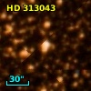 HD 313043