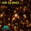 HD 313042