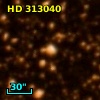 HD 313040