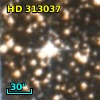 HD 313037