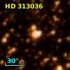 HD 313036