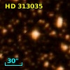 HD 313035