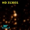 HD 313031