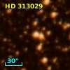 HD 313029
