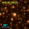 HD 313025