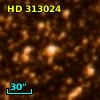 HD 313024
