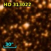 HD 313022