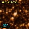 HD 313021