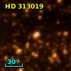 HD 313019