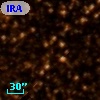 IRAS 18181-1753