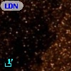 LDN  336