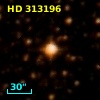 HD 313196