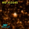 HD 313145