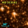 HD 313141