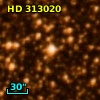 HD 313020