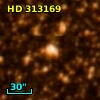 HD 313169