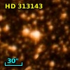 HD 313143