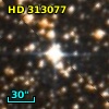 HD 313077