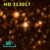 HD 313017