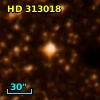 HD 313018