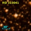 HD 313041