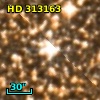 HD 313163