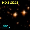 HD 313203