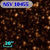 NSV 10455