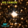 HD 169036