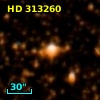 HD 313260