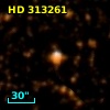 HD 313261
