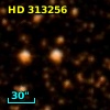 HD 313256