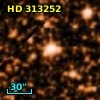 HD 313252