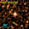 HD 313250