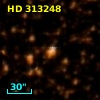 HD 313248