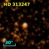 HD 313247