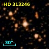 HD 313246