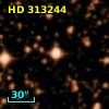 HD 313244