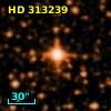HD 313239