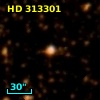 HD 313301