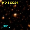 HD 313294